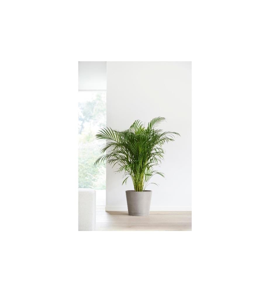 ECOPOTS - Pflanzentopf Venice 40, French Taupe