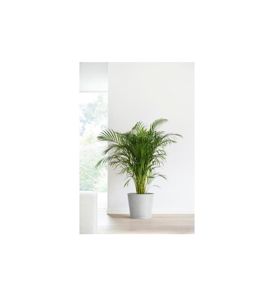 ECOPOTS - Pot à fleur Venice 40, Gris clair