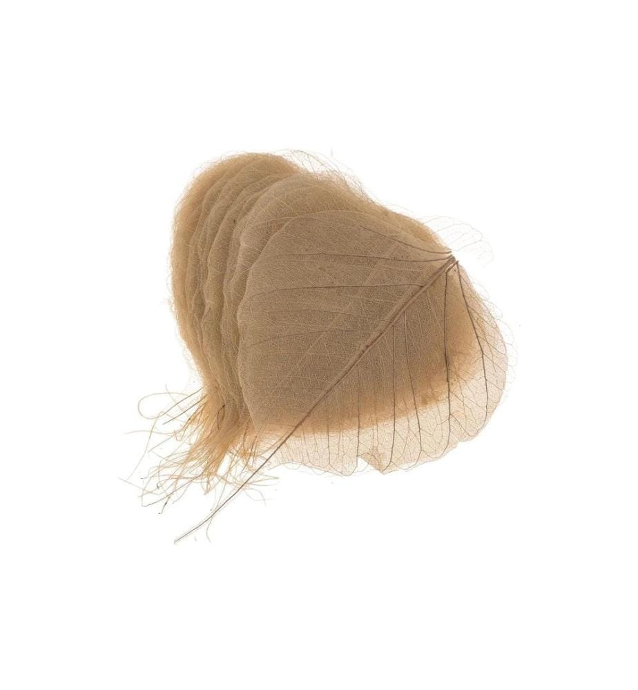 OPIFLOR - Fleurs séchées Feuilles de squelette 6 Pièce/s, Brun
