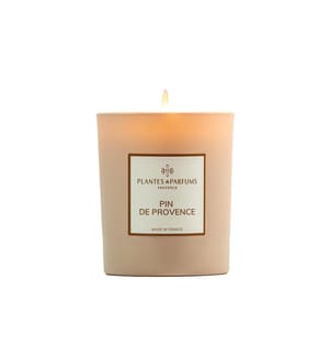 PLANTES & PARFUMS - Bougie parfumée Pin de Provence 180 g