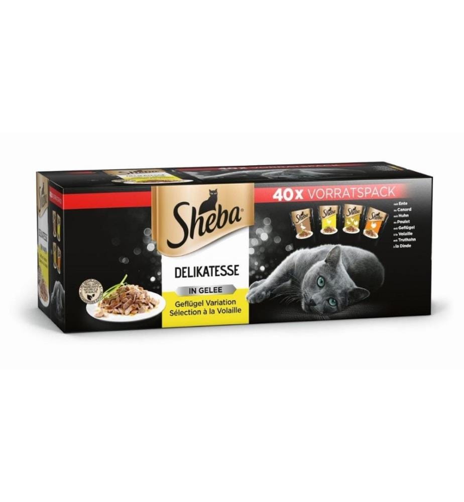 Sheba 40 store