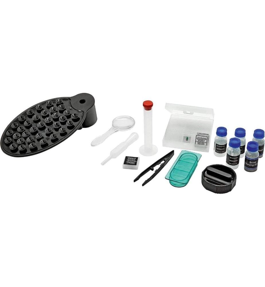Bresser Bresser Junior Microscope 40x-640x with … | DeinDeal