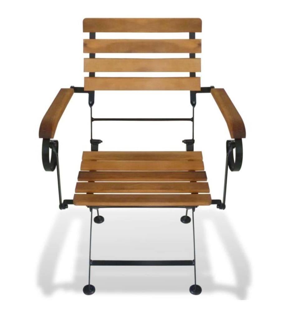 Chaises pliables de jardin 2 pcs Acier et bois d'acacia solide