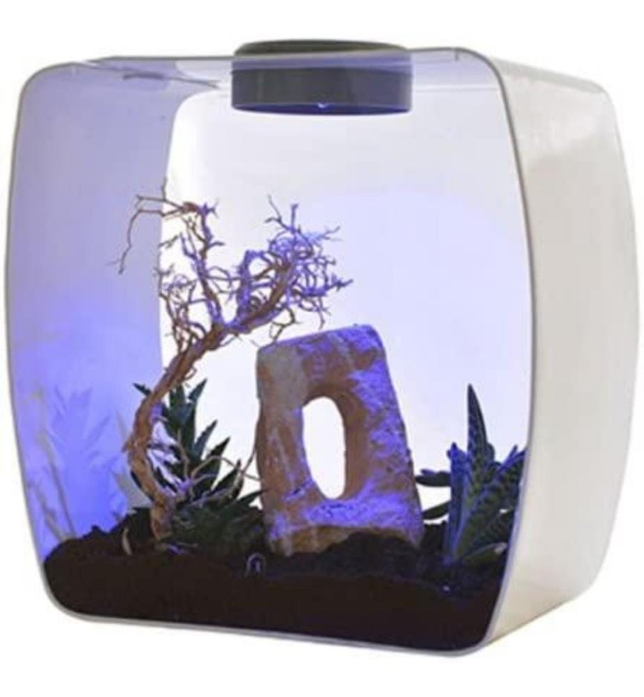 Lucky Reptile LB35W Life Box 35 Nanoterrarium a… DeinDeal