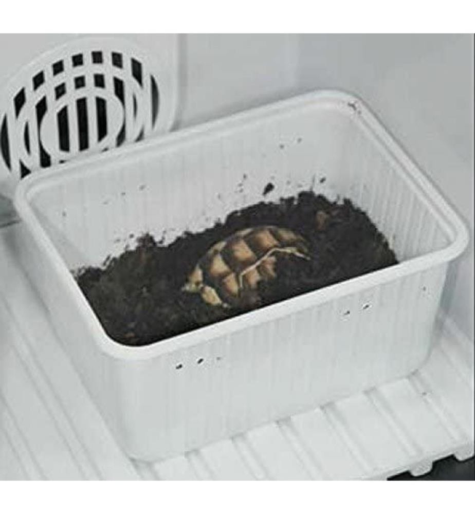 LUCKY REPTILE Lucky Reptile Efficient Incubator … DeinDeal