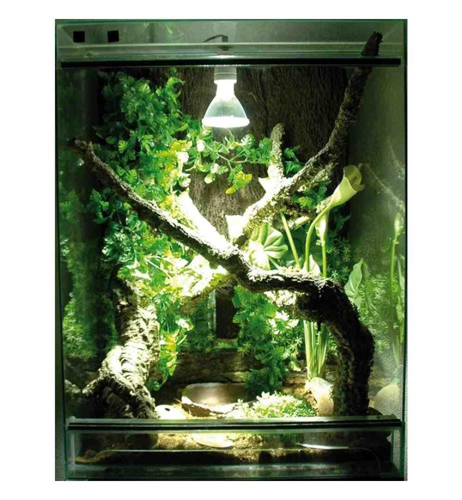 Lucky Reptile Bright Control Evo Ballast 50 W … DeinDeal