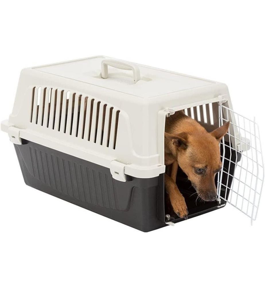 FERPLAST Ferplast Rigid Carrier for SmallSized … DeinDeal