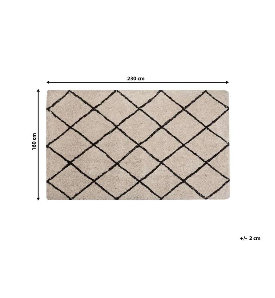 Tapis Rectangulaire Beige et Noir en Polyester Poil Long pour Chambre ou Salon au Style Moderne 160 x 230 cm