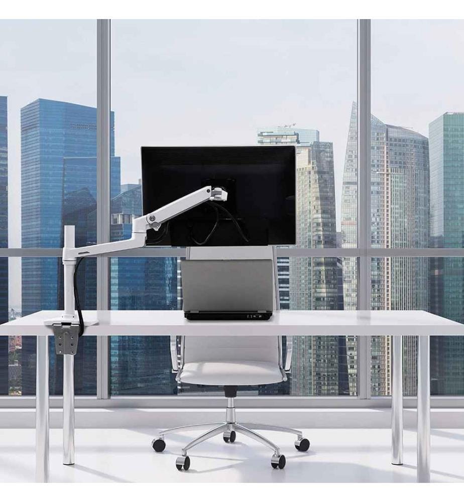 ERGOTRON Ergotron LX Desk Mount Monitor Arm, Tal… DeinDeal