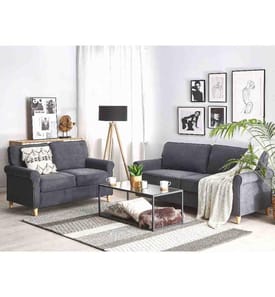 Ensemble de Salon Canapés 2 et 3 Places Tapissés en Velours Gris avec Rembourrage Épais de Qualité Idéal pour Salon Scandinave et Rétro