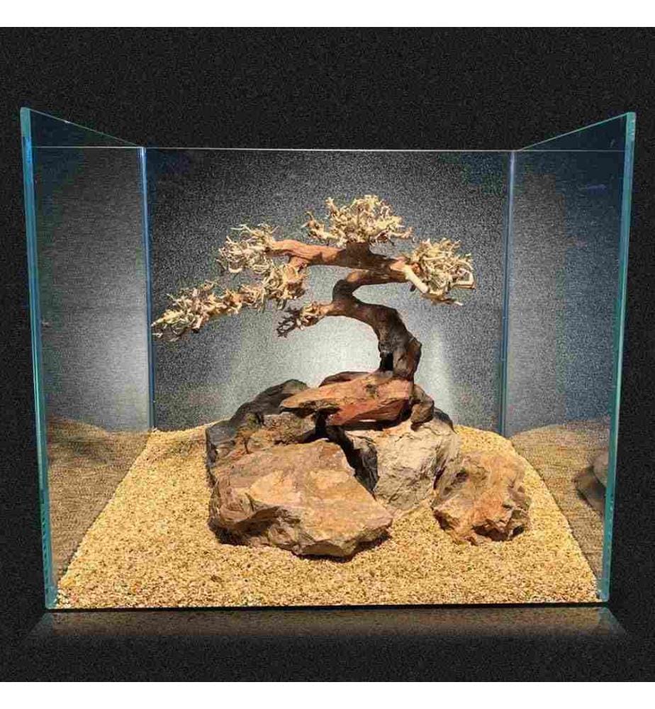 Amtra Oriental Wind 5 MD Décoration Aquarium … DeinDeal