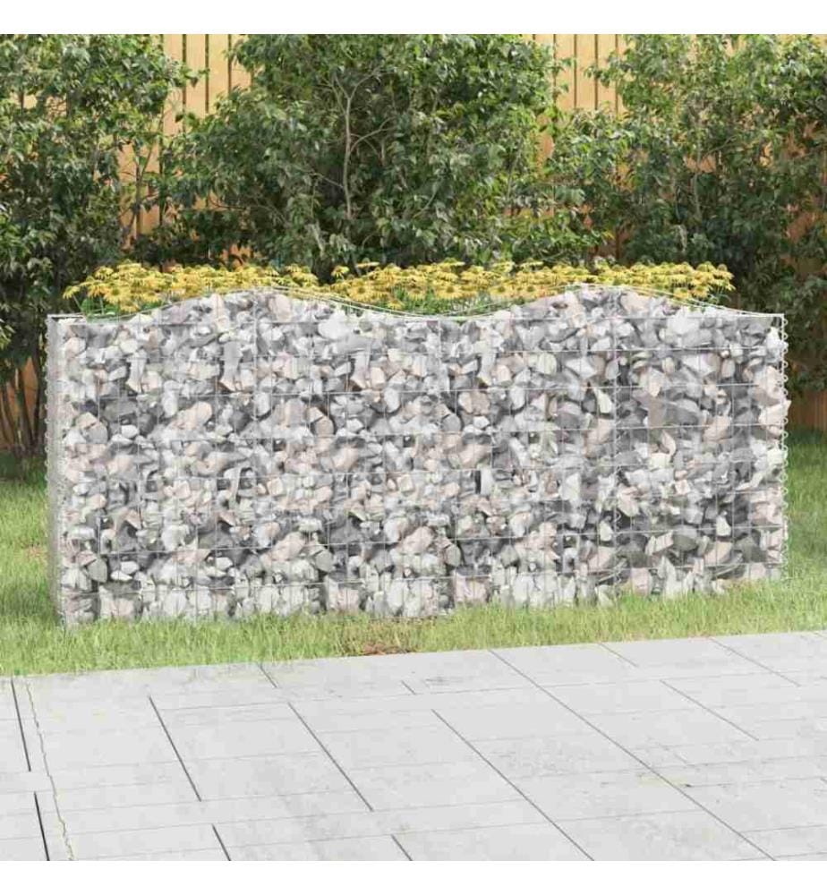 Gabionen-Hochbeet mit Hochbogen 200x50x100 cm Verzinktes Eisen