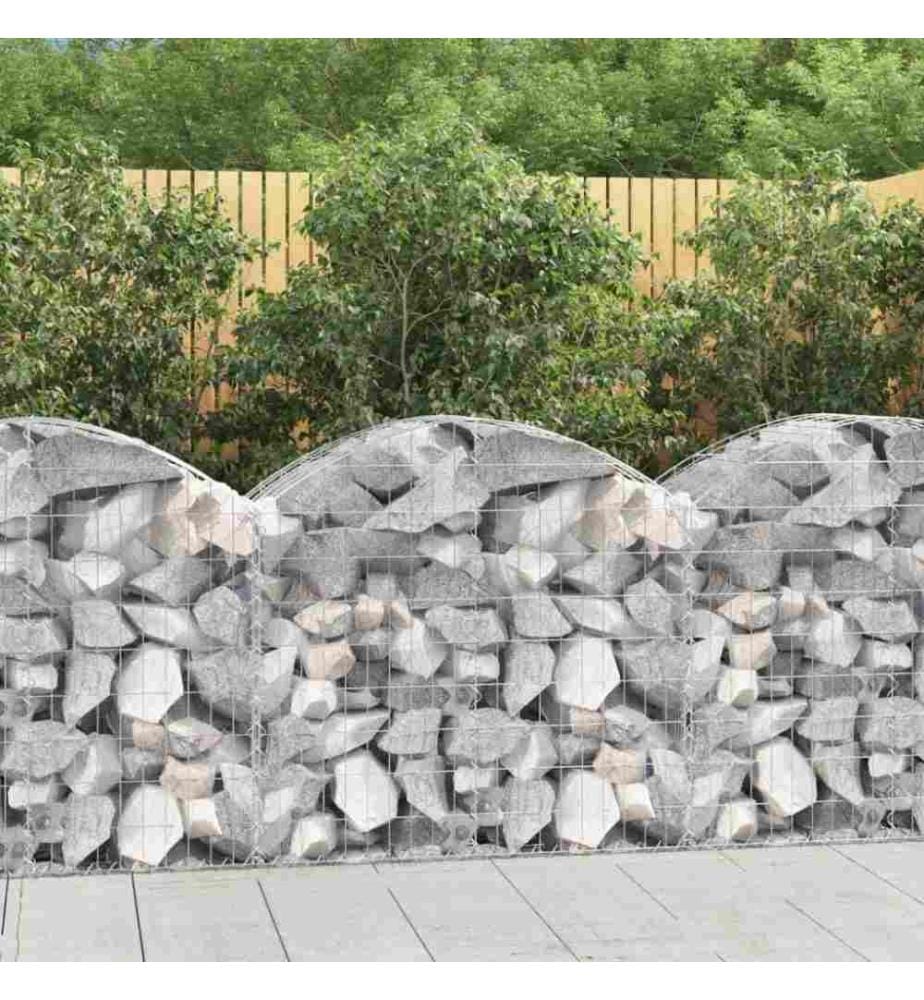 Gabione mit Hochbogen 100x50x80/100 cm Verzinktes Eisen