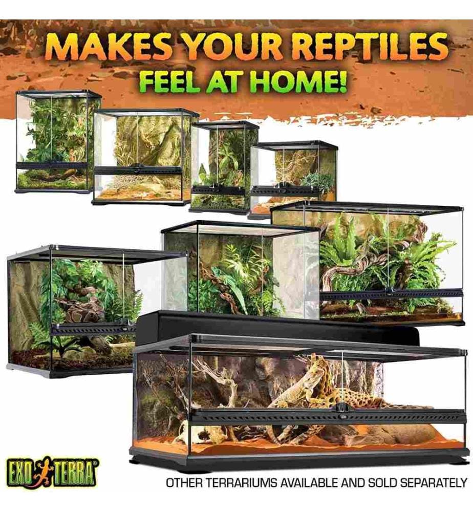 EXO TERRA Exo Terra Glass Natural Terrarium, Med… DeinDeal