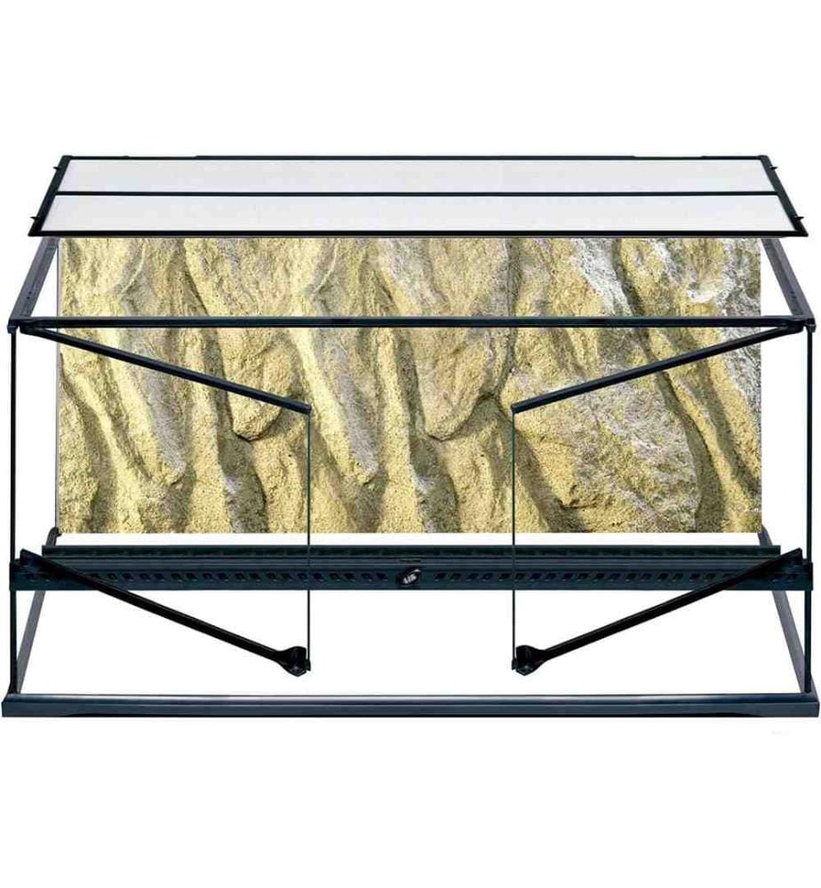 EXO TERRA Exo Terra Glass Natural Terrarium, Lar… DeinDeal