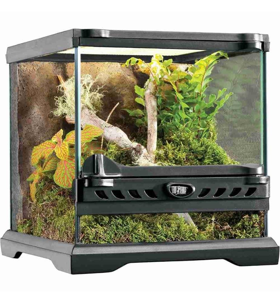 EXO TERRA Exo Terra Terrarium aus Glas, mit einz… DeinDeal