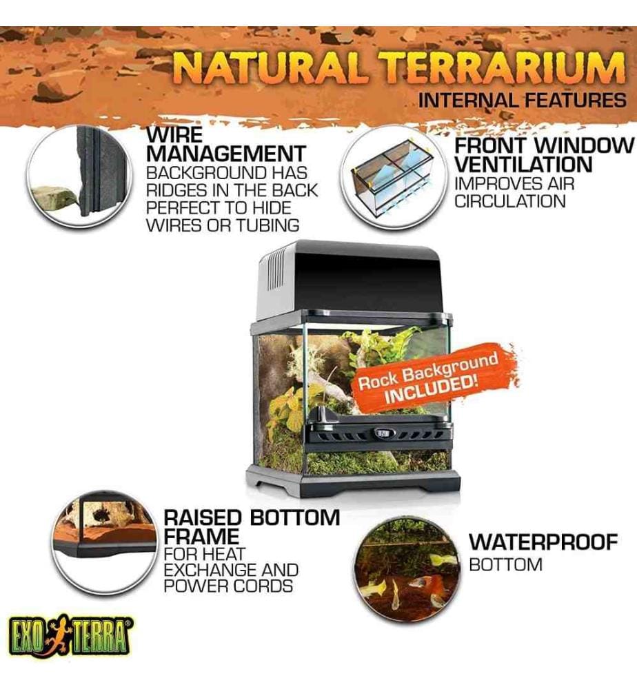 Exo Terra Terrarium aus Glas, mit einzigartiger … DeinDeal