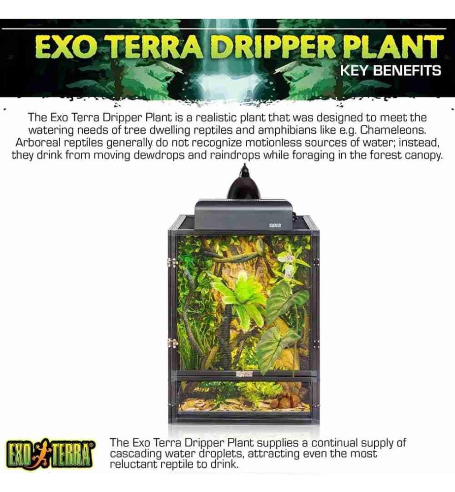 EXO TERRA Exo Terra Dripper Plant, Tropfpflanze,… DeinDeal