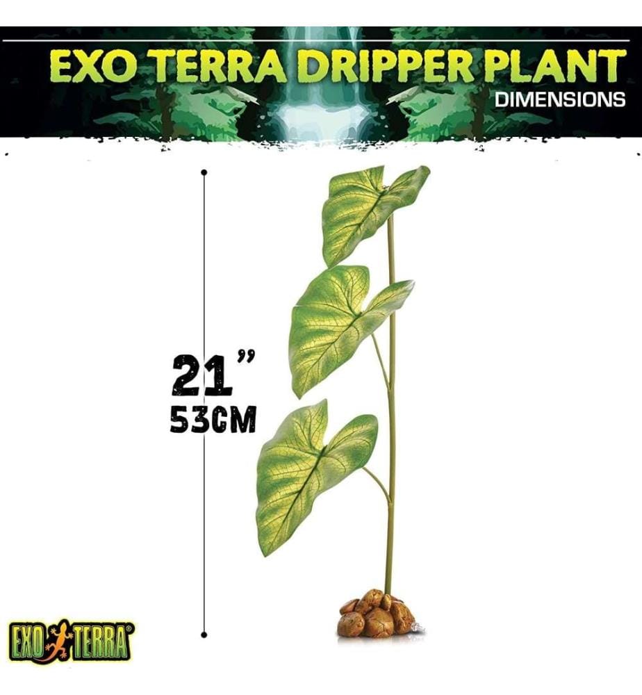 EXO TERRA Exo Terra Dripper Plant, Tropfpflanze,… DeinDeal