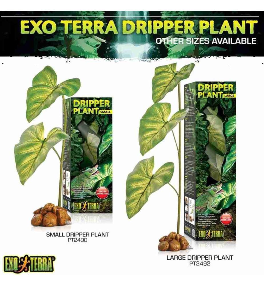 EXO TERRA Exo Terra Dripper Plant, Tropfpflanze,… DeinDeal