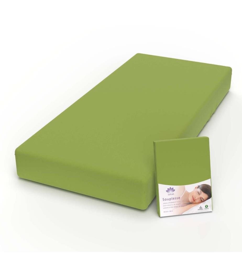 LOTUS - Drap-housse jersey Souplesse Kiwi - 90-100 x 200 cm