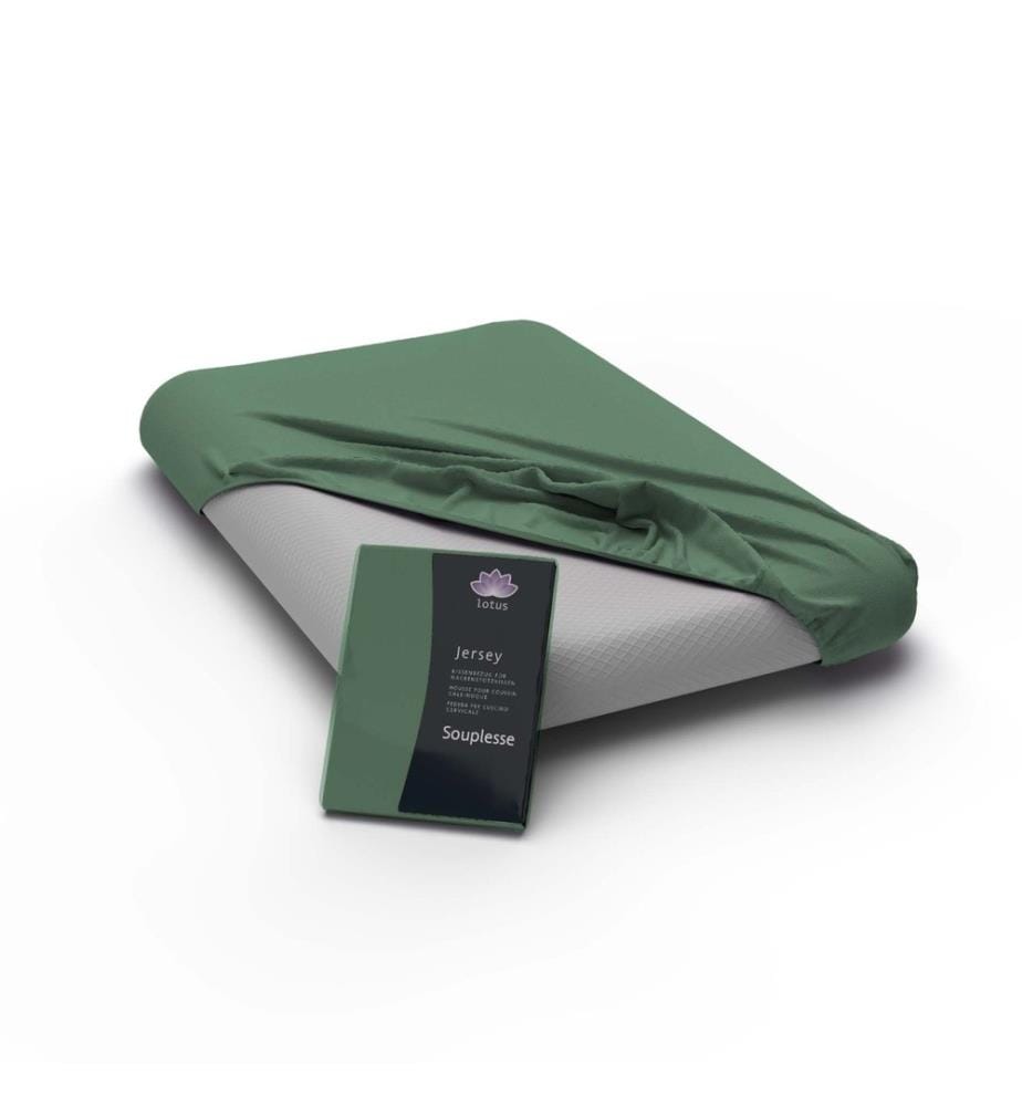 LOTUS - Taie d'oreiller Fix Souplesse lierre - 60 x 40 cm