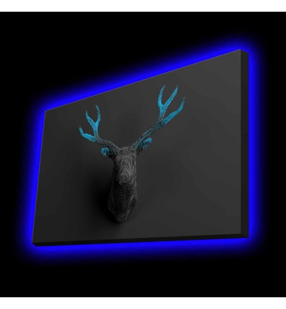 Dekorative Leinwandbilder mit Led-Beleuchtung, Multicolor, Polyester-Leinwand
