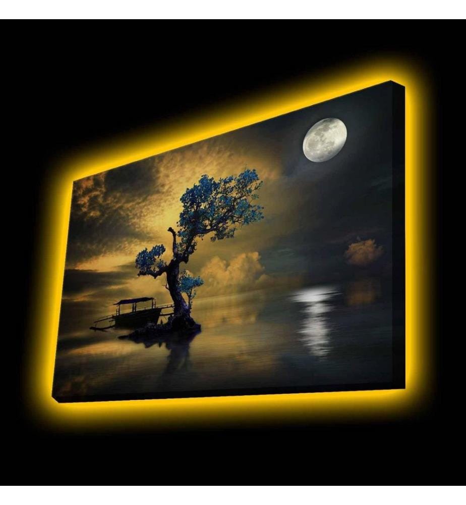 Dekorative Leinwandbilder mit Led-Beleuchtung, Multicolor, Polyester-Leinwand