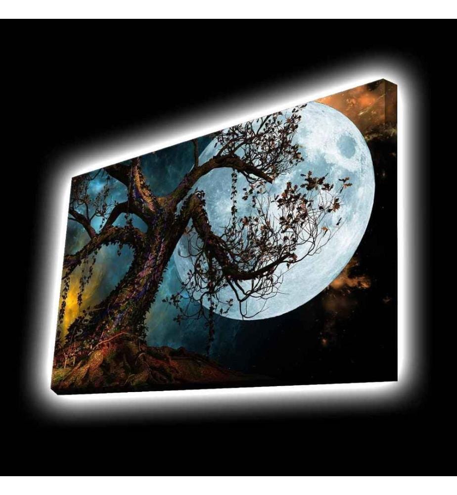Dekorative Leinwandbilder mit Led-Beleuchtung, Multicolor, Polyester-Leinwand