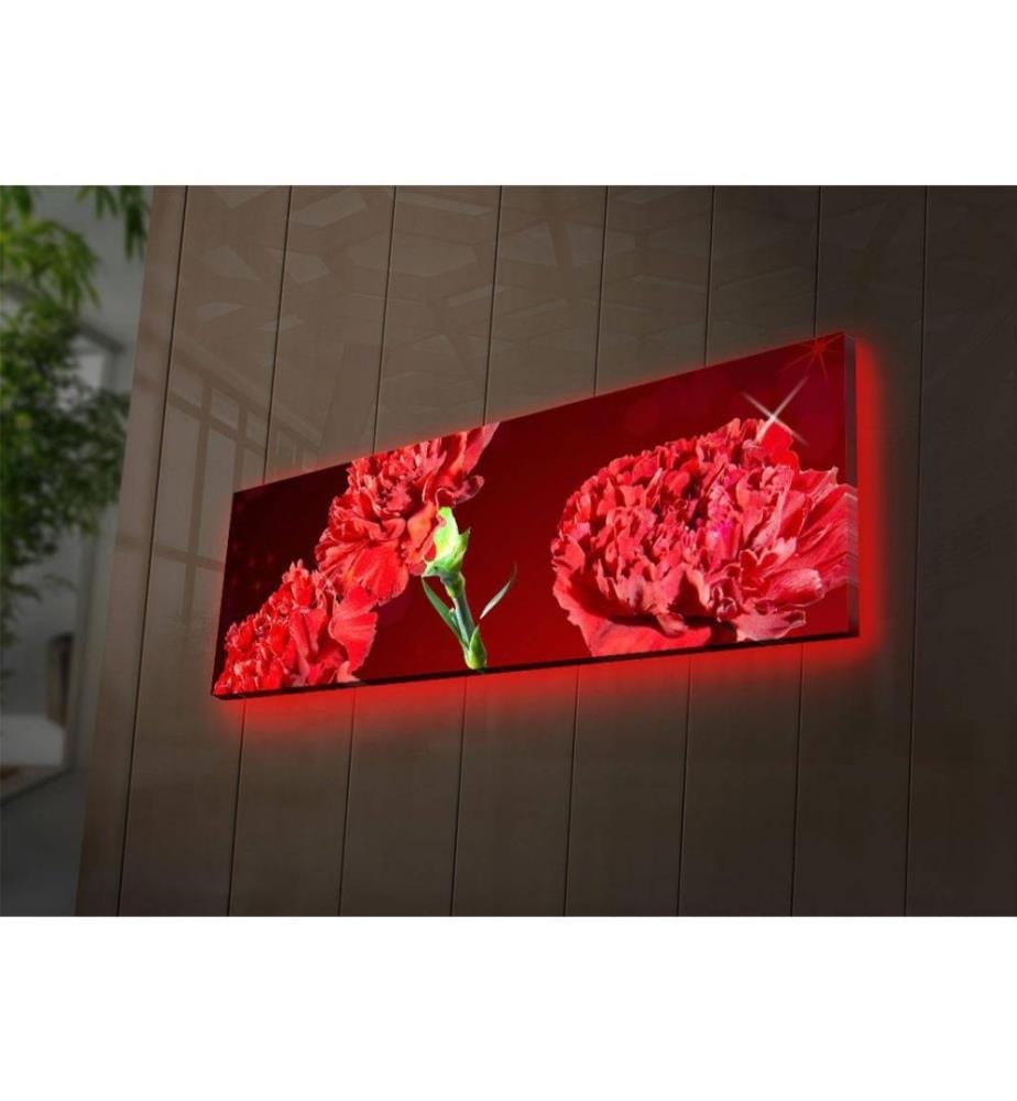 Dekorative Led beleuchtet Leinwand Gemälde, Multicolor, Wildleder Leinwand