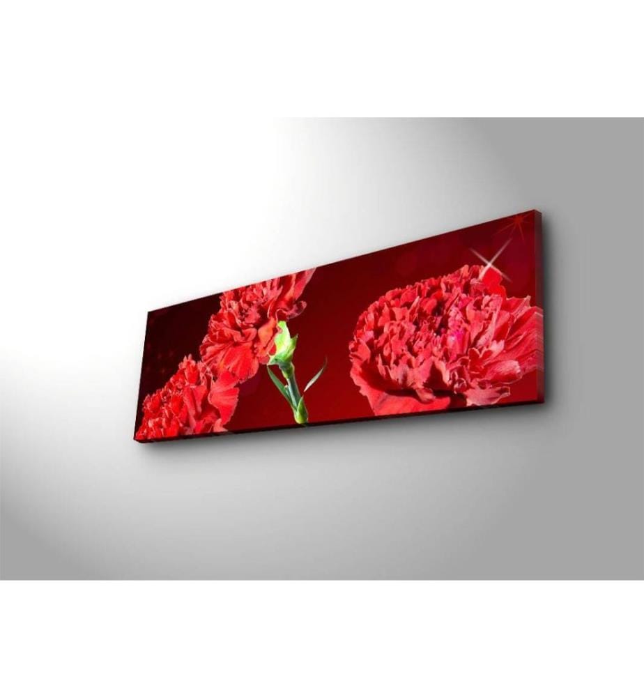 Dekorative Led beleuchtet Leinwand Gemälde, Multicolor, Wildleder Leinwand