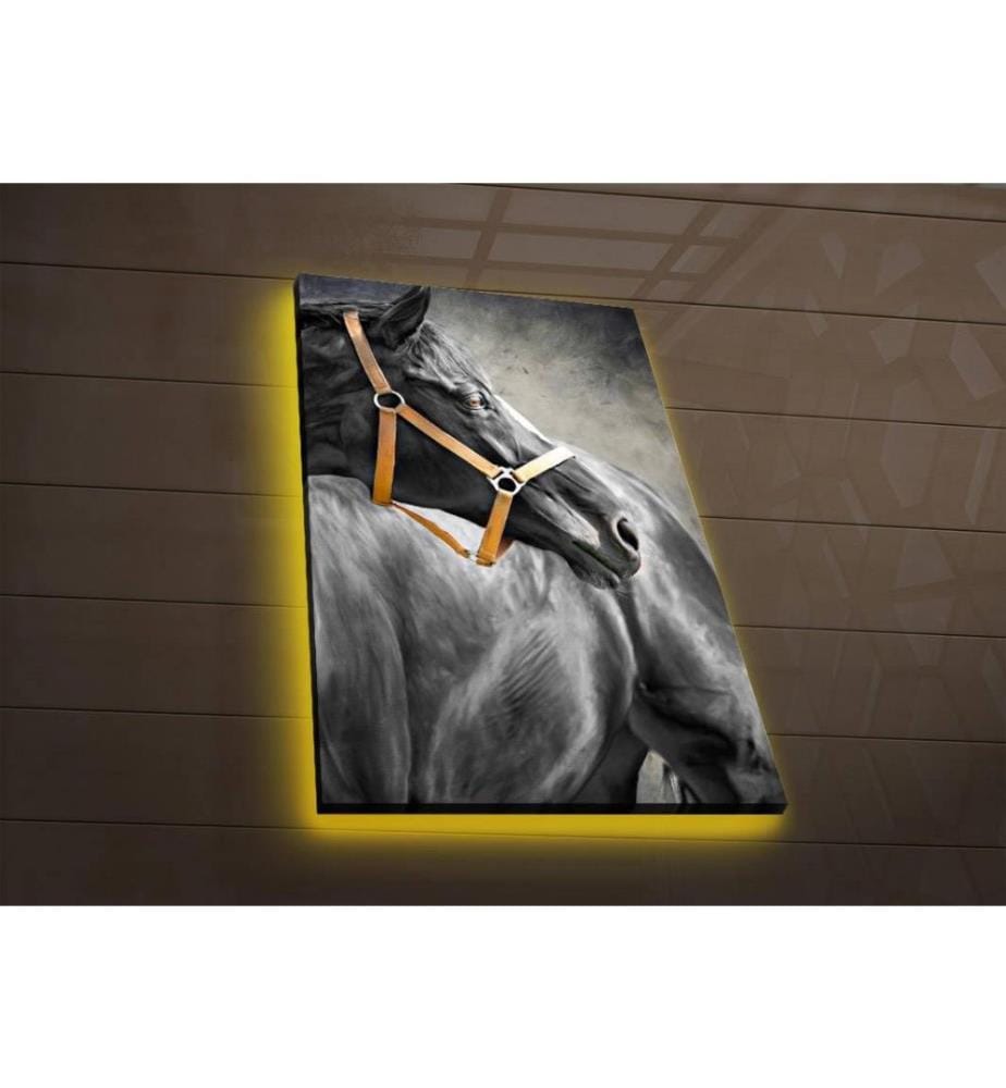 Dekorative Led beleuchtet Leinwand Gemälde, Multicolor, Wildleder Leinwand