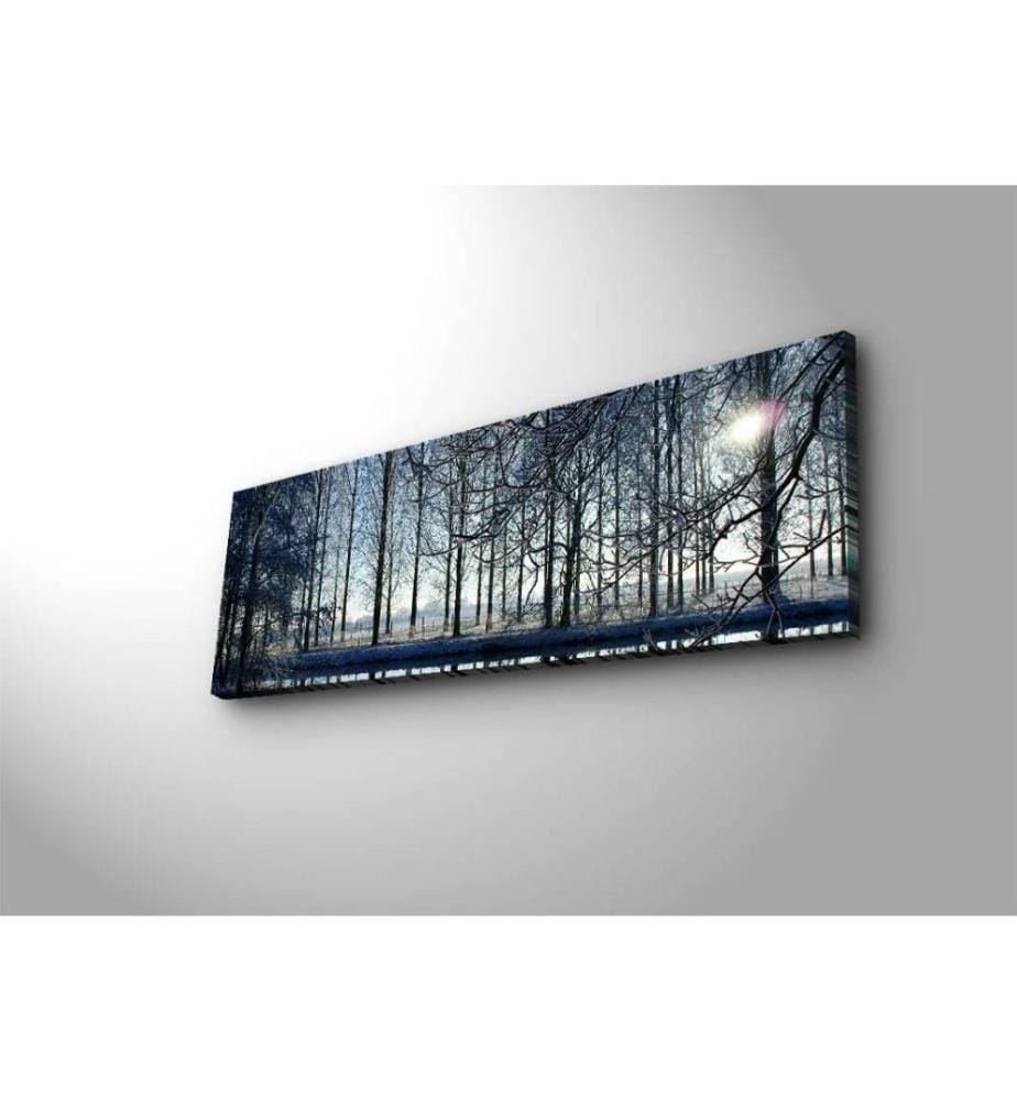 Dekorative Led beleuchtet Leinwand Gemälde, Multicolor, Wildleder Leinwand