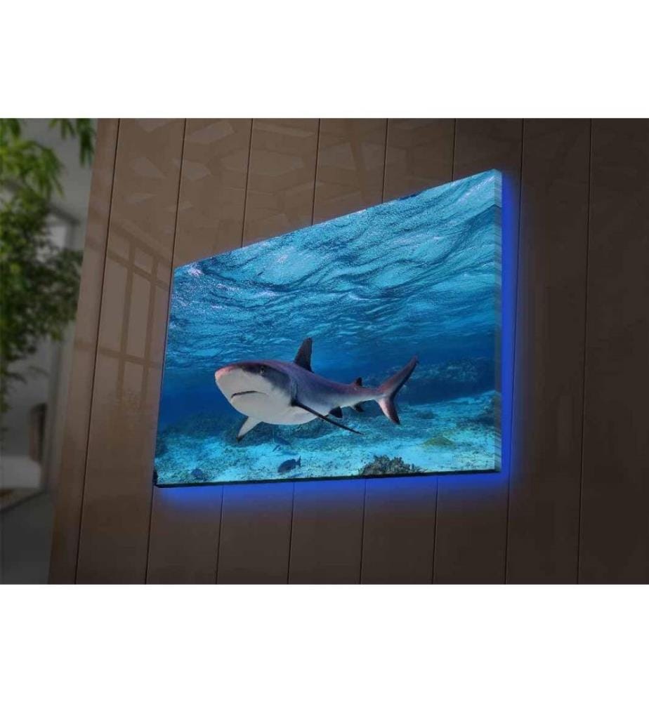 Dekorative Led beleuchtet Leinwand Gemälde, Multicolor, Wildleder Leinwand