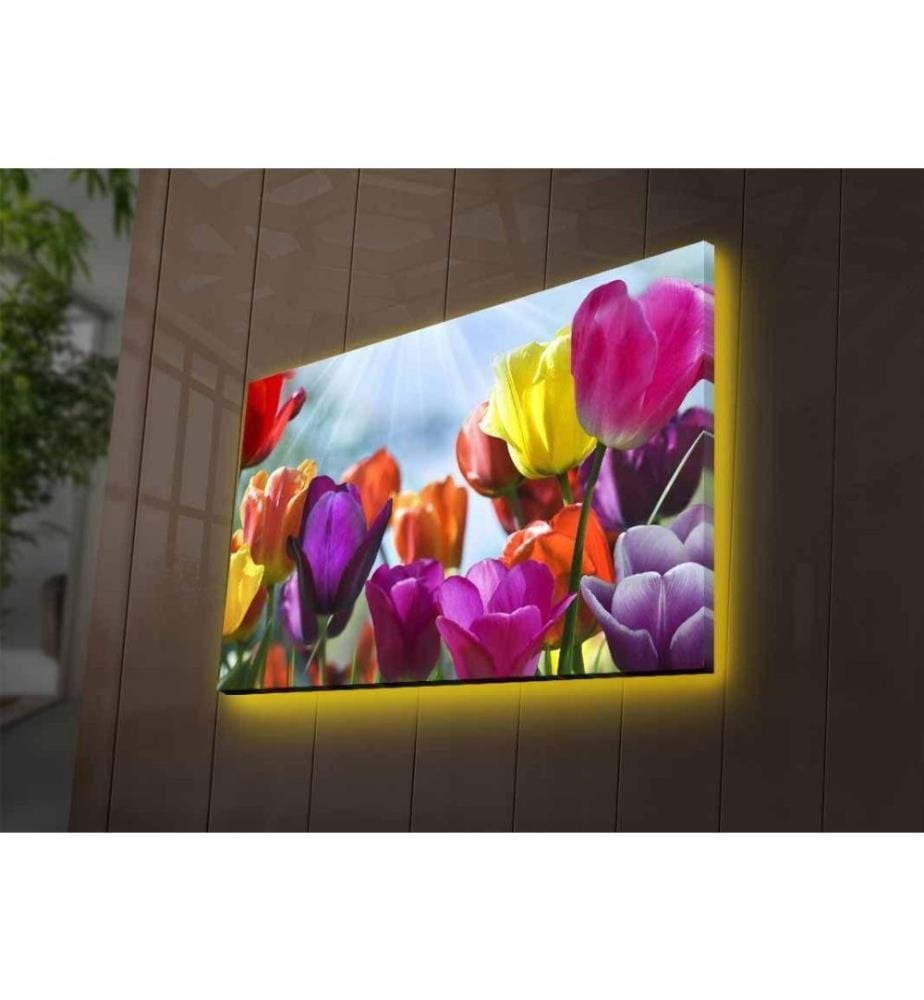 Dekorative Led beleuchtet Leinwand Gemälde, Multicolor, Wildleder Leinwand