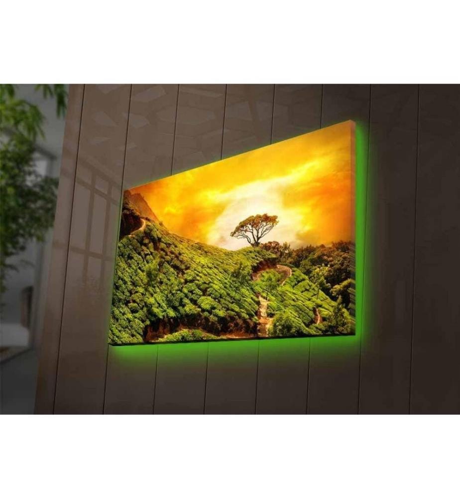 Dekorative Led beleuchtet Leinwand Gemälde, Multicolor, Wildleder Leinwand