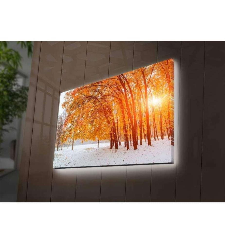 Dekorative Led beleuchtet Leinwand Gemälde, Multicolor, Wildleder Leinwand