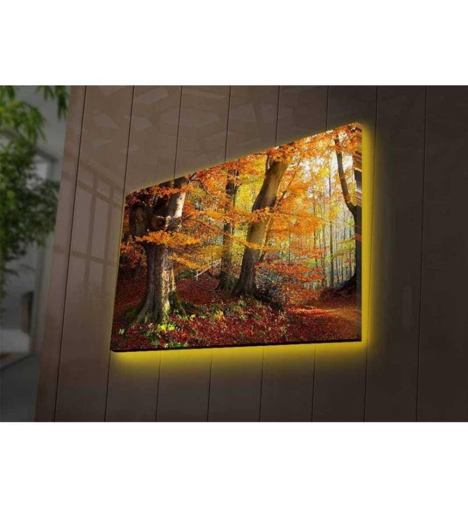 Dekorative Led beleuchtet Leinwand Gemälde, Multicolor, Wildleder Leinwand