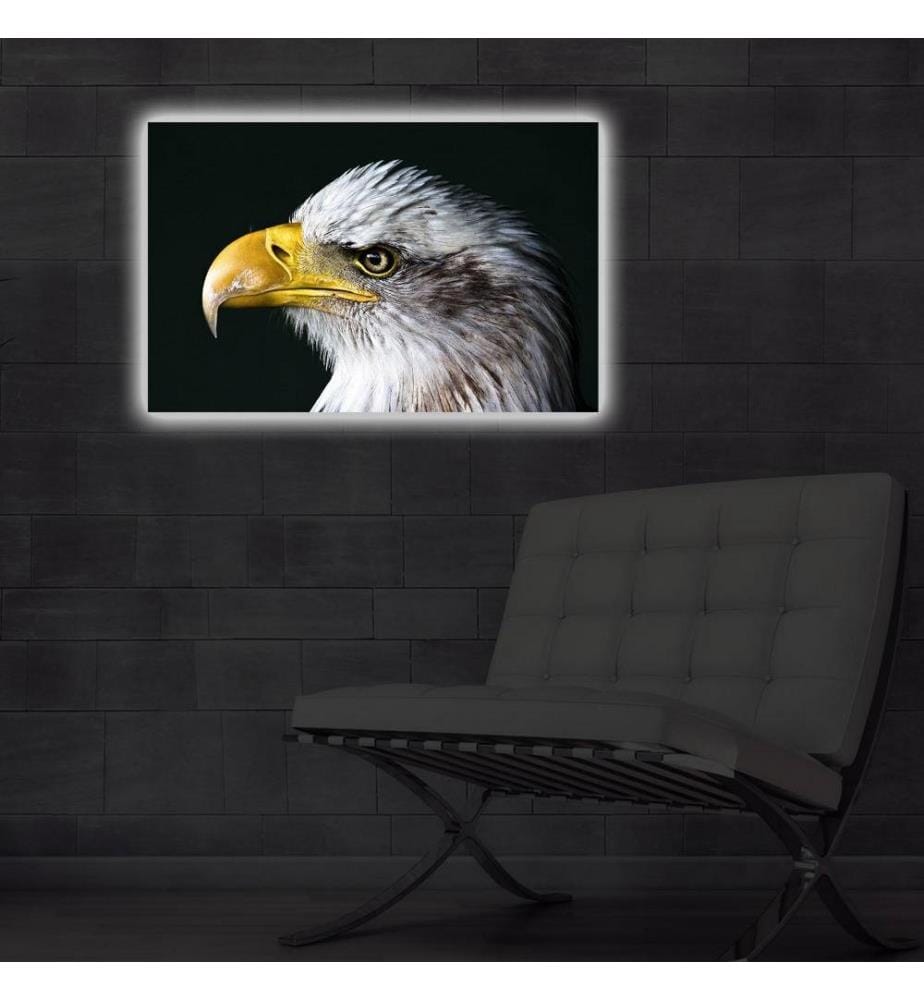 Dekorative Led beleuchtet Leinwand Gemälde, Multicolor, Wildleder Leinwand
