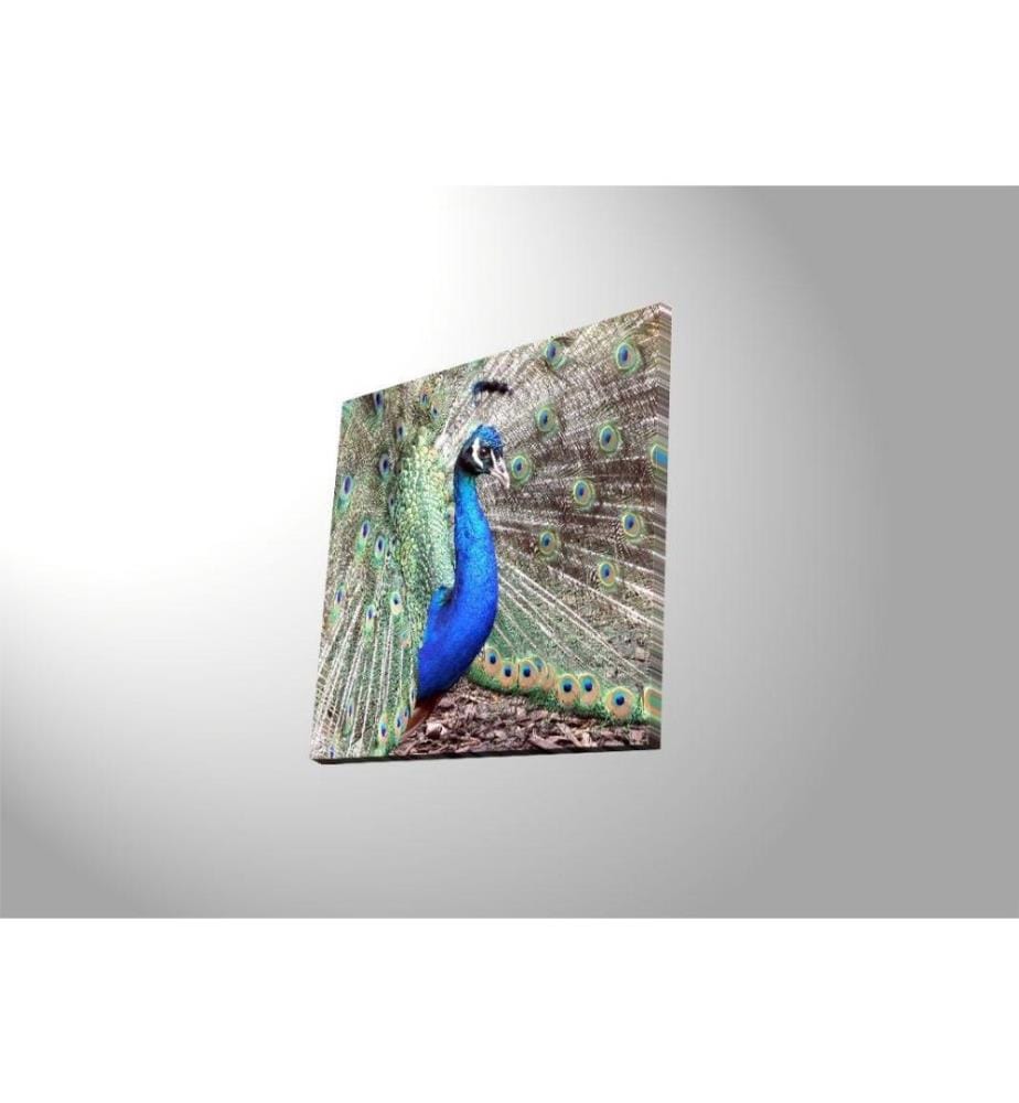 Dekorative Led beleuchtet Leinwand Gemälde, Multicolor, Wildleder Leinwand