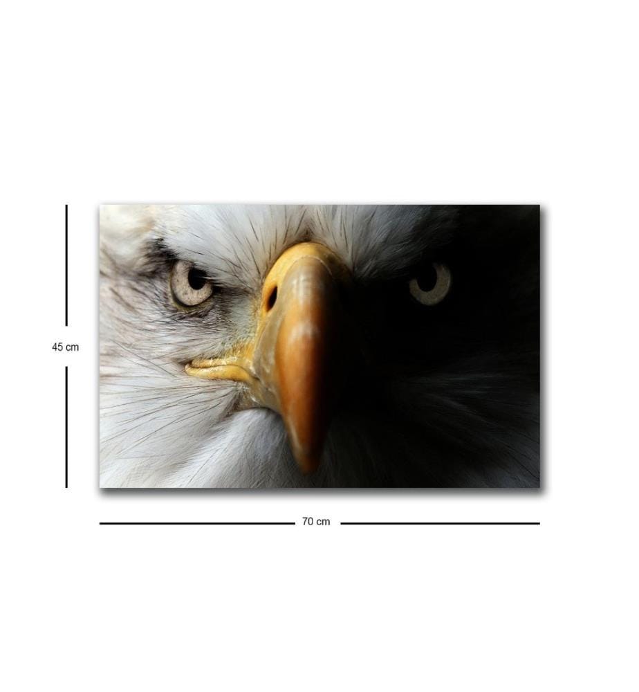 Dekorative Led beleuchtet Leinwand Gemälde, Multicolor, Wildleder Leinwand