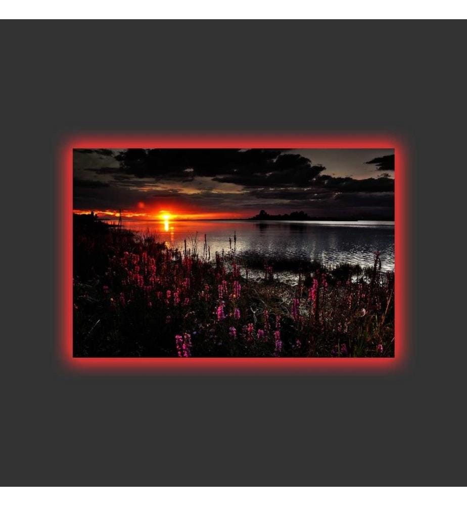 Dekorative Led beleuchtet Leinwand Gemälde, Multicolor, Wildleder Leinwand
