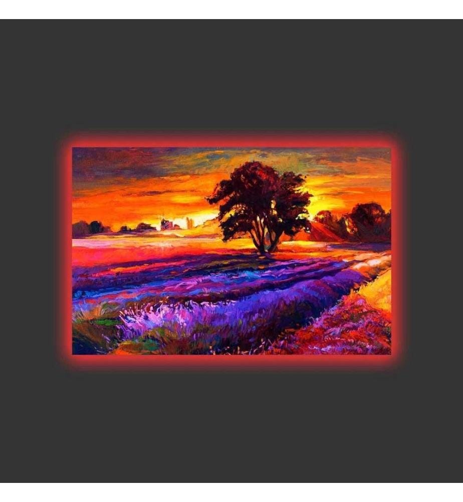 Dekorative Led beleuchtet Leinwand Gemälde, Multicolor, Wildleder Leinwand
