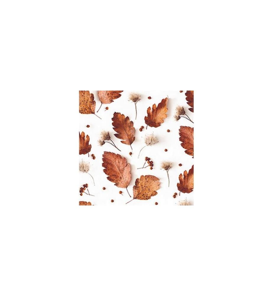 Braun + Company Serviettes en papier Automne doux Blanc, 20 pièces