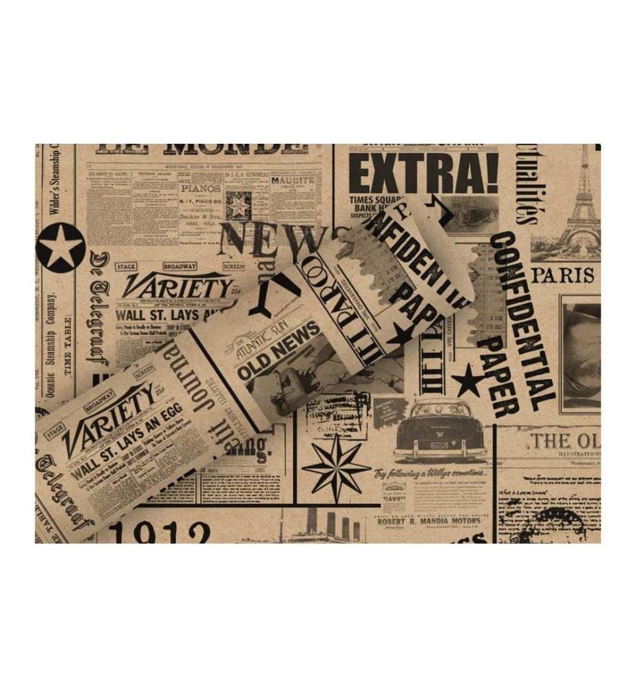 Braun + Company Geschenkpapier By Nature News 2 m x 70 cm, Schwarz/Braun