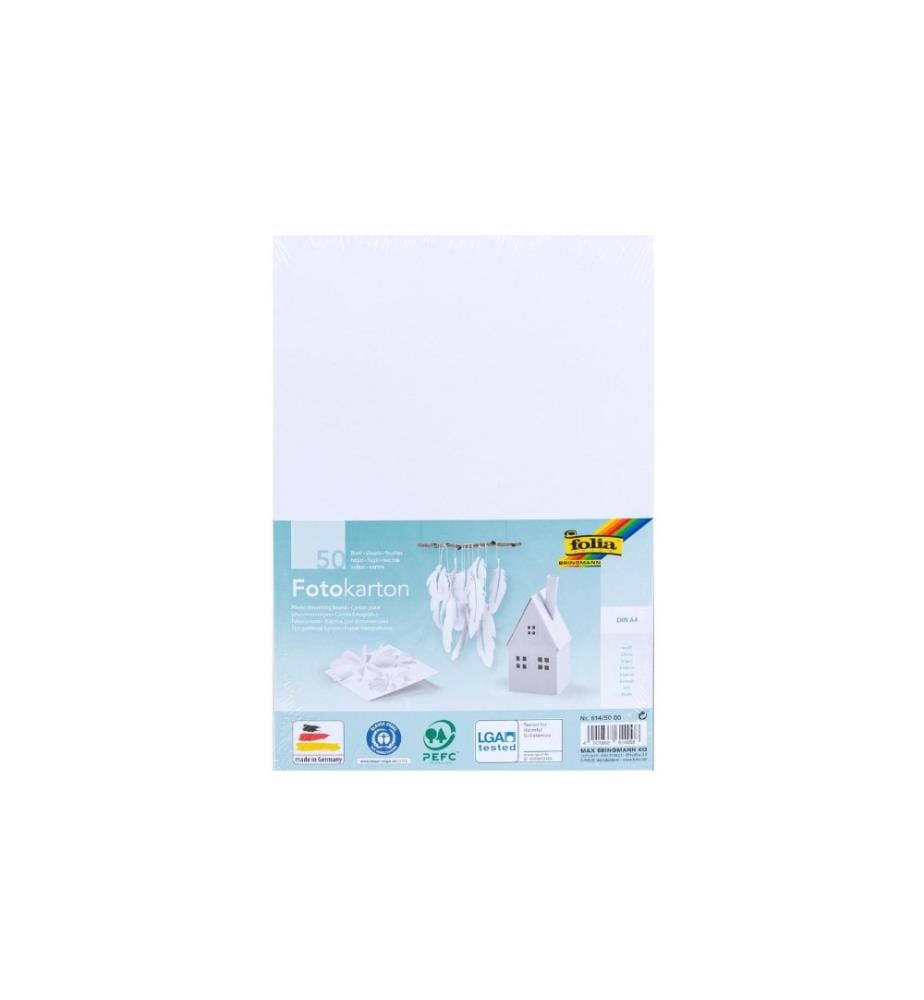 10 Feuilles Carton Photo Folia Bringmann 300g/m² - 50x70cm Noir - Pour Bricolage, Découpe, Collage - Import Allemagne
