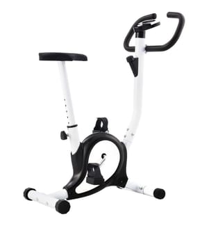 Heimtrainer mit Riemenantrieb Schwarz