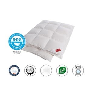 Ganzjahresduvet Genf - 160 x 210 cm