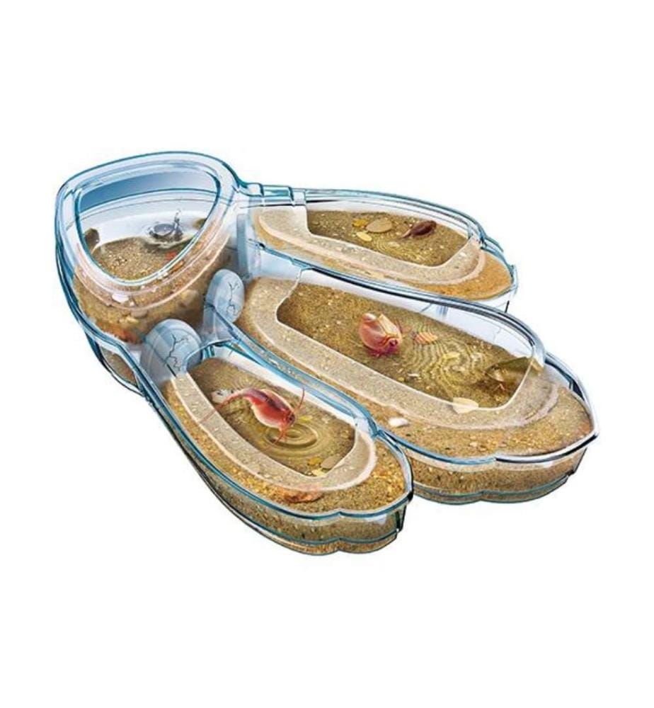 Clementoni Triops Maxi de Luxe German version DeinDeal