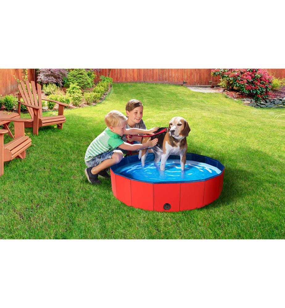 Dog Pool 80cm - Red and Blue | DeinDeal